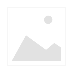 Erzgebirg. Fensterstern No. 15